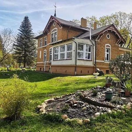 Villa Familyandbike Neupetershain Esterno foto